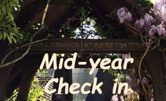 Mid-year Check-in and Ministry Celebration